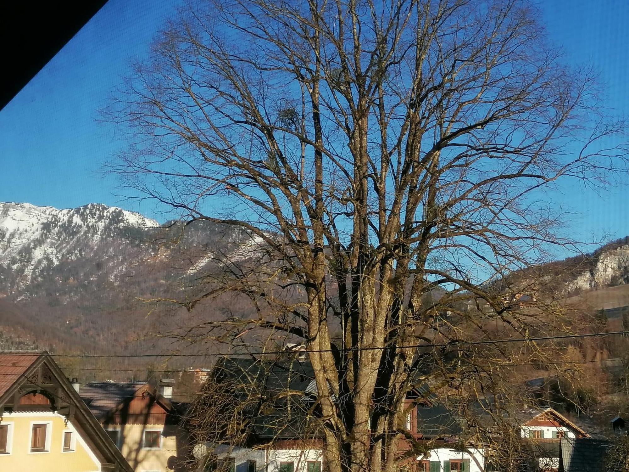 Alpenblumal Διαμέρισμα Bad Goisern Εξωτερικό φωτογραφία