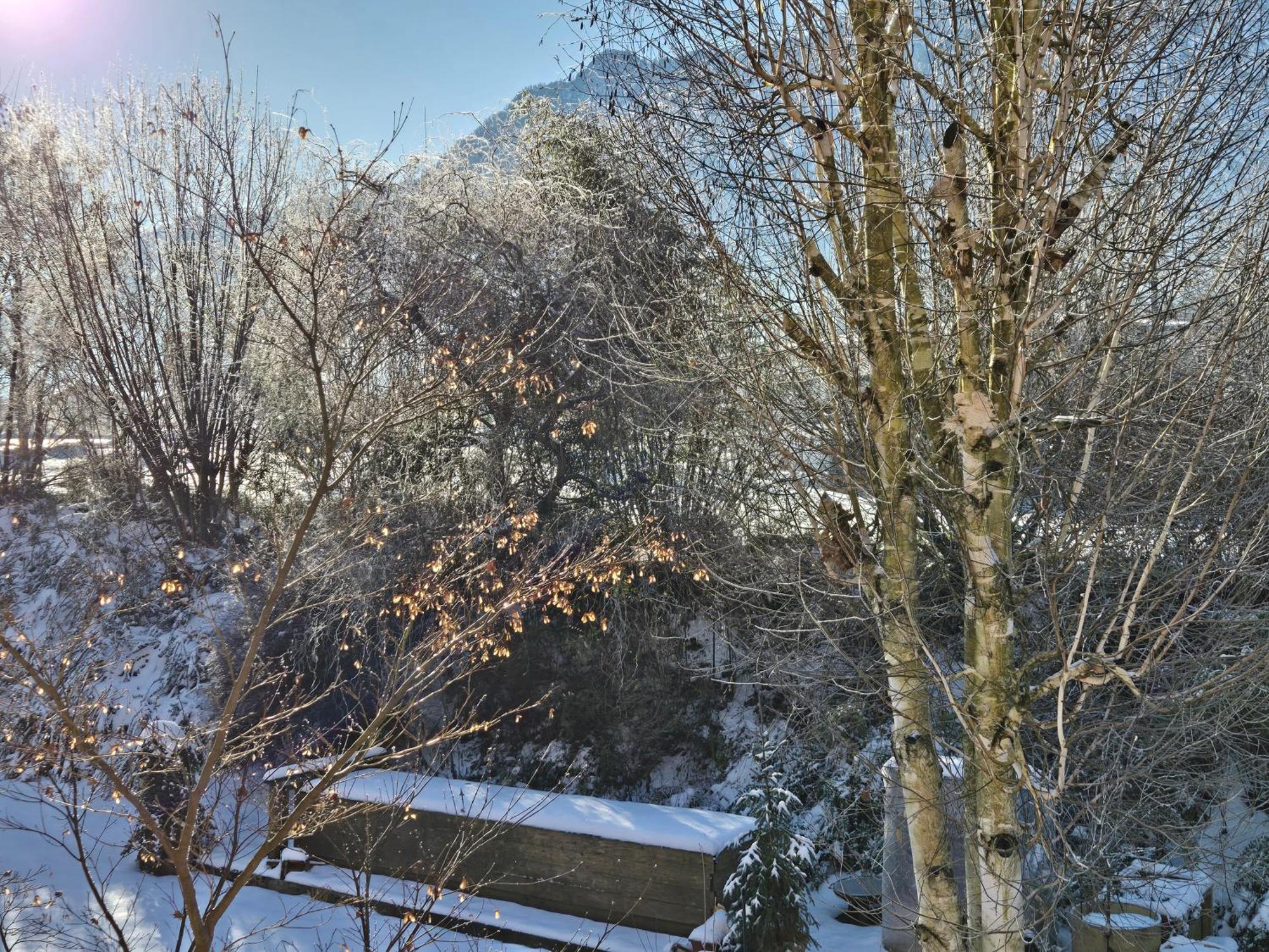Alpenblumal Διαμέρισμα Bad Goisern Εξωτερικό φωτογραφία